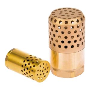 danxilu | Anti-Backflow Brass Valve NPS Internal Thread