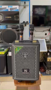 Loa karaoke Nanomax S100 tặng kèm 2 micro công suất 50W.