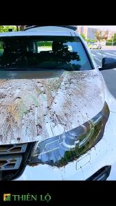 Khăn Lau Đa Năng 2 Lớp Sợi Microfiber Cao Cấp Mềm Mịn Thấm Hút Tốt Không Rụng Lông của Thiên Lộ