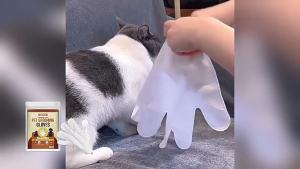 Hypoallergenics Pet Grooming Gloves Non-Rinse Quick Everyday Cleanups Soft Easy To Use To Removal Odors For Daily Cleaning