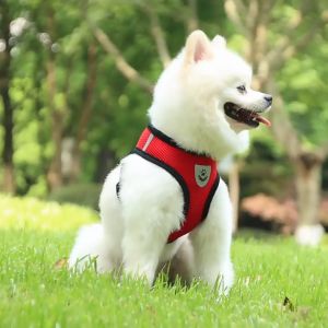 Harness dada kucing dan anjing bersikulasi udara tali hewan peliharaan bereflektif aksesoris hewan