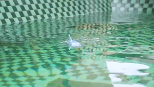 Waterproof 2.4G Remote Control Shark swim underwater electronic pet children RC toy ikan yu jerung mainan kawalan jauh