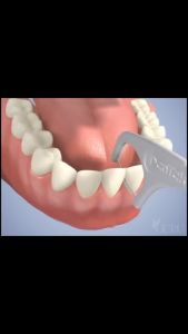 Tăm chỉ nha khoa Coral Enfresh Oral bịch 50 cái