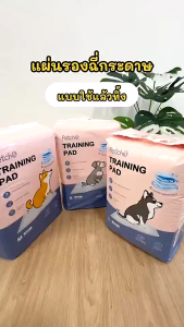 Petcho (แพ็คชุด/4แพ็ค) แผ่นรองฉี่ แผ่นรองฉี่สุนัข แผ่นรองซับ สัตว์เลี้ยง ซับได้มาก พลังการดูดซับ 6ชั้น ช่วยฝึกขับถ่าย