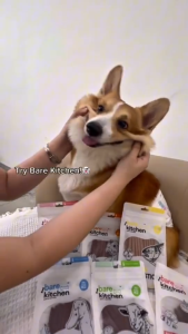 80g Luscious Bare Kitchen Meaty Sticks All Stages Adult Puppy Supports Muscle Development Pet Treats