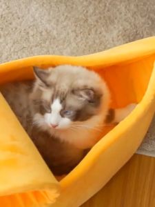 Cute Banana Shape Dog Cat House Soft Warm Kennel Sleeping Bed House Tent Pet Supplies