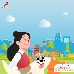 (12kg) Buddy Budder อาหารแมว รสแกะ รสปลา เกรด premium โซเดียมต่ำ แมวอายุตั้งแต่ 2 เดือนขึ้นไป