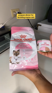 400g Royal Canin Mother Babycat Cat Dry Pet Food Kitten Pregnant Baby Cat Cats Health Balanced