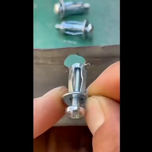 【READY STOCK】20PCS Bolt Nut Screw/Galvanized Carbon Steel/Hollow Iron Plate Aluminum Rivet/Galvanized Flower-Shaped Nuts