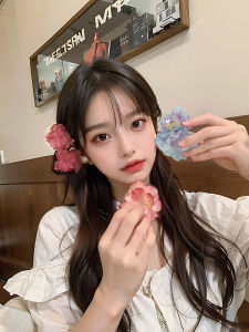 Elegant Princess Hair Clip & Floral Design Hair Accessories