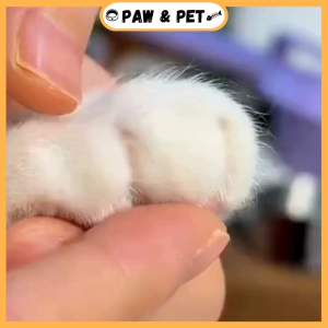 2 in 1 Pet Nail Clipper With Light Pet Claw Grinding Splash-Proof Trimmer Care Grooming Tools