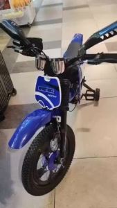 SG[ Stock] 2026 NEW 18 Inch Kids Scrambler Bicycle with TrainingWheels 16 Inch Bicycle Bike Casual