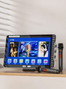 HUABAO | Portable Bluetooth Karaoke Speaker with Display Screen