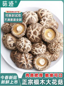 Authentic Fangxian Small Flower Mushroom Large Mushroom Farm Aid Specialty Shennongjia Non-Wild Basswood Mini Mushroom Dry Goods Dried Mushroom