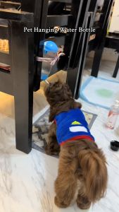 500ml Pet Hanging Bottle Dog Cat All Stages Adult Kitten Puppy Leak Proof Design Water Dispenser
