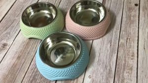 Bát ăn đơn inox cho chó mèo hình dễ thương ngộ ngĩnh chất liệu cao cấp kèm chén inox