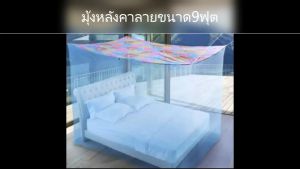 มูอิน กาแฟ คอมพิวเตอร์ 9 ฟุต สุขภาพสวยของผู้ชาย โดยวาดคามูอินที่ใหญ่ ลิขสิทธิ์ผ้าพิมพ์ลาย และการใช้แสงรบกวนตาตอนนอน