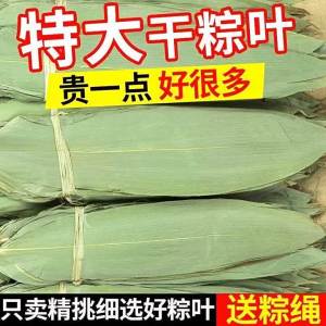 Natural Wild Bamboo Leaves for Home Zongzi Making