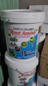 Root Amino Xô 24kg + 15 tinh chất Amino dịch tảo biển - Dưỡng cây mát bông  phì trái chống stress và sốc nhiệt cho cây