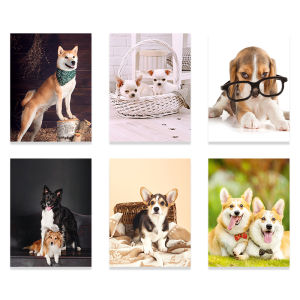 Modern Minimalist Childrens Room Decorative Artwork Pet Dog Cat Animal Wall Painting Cute Corridor Passage Room Frameless Hanging Picture