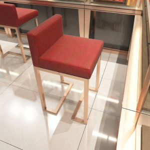 Stainless Steel Modern Minimalist Stool With Backrest