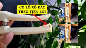 Kéo cắt cành cây kéo tỉa cây loại 1Topchoice tay trắng ngà mũi cong lưỡi bén thép không gỉ 1 cái.