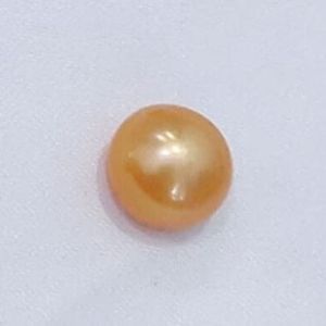 Kalung Wanita Kekinian Model Kerang Mutiara Tawar Bersertifikat||Kalung mutiara asli||Kalung wanita||Kalung rhodium