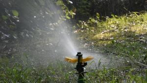 Béc tưới phun cánh đập chỉnh góc và bán kính tưới ren ngoài 21mm