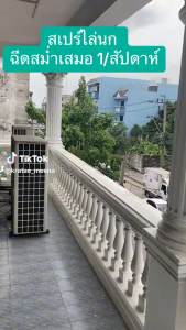 ‼️ไล่นก 450 ml‼️SAMUNPINE สเปรย์ไล่นก ไล่นกได้ทุกชนิด ป้องกันมูลนก บนระเบียง กำแพง คอมแอร์ หลังคารถ ไม่ทำลายสีรถ สารสกัดธรรมชาติ ขนาด 450 ml.