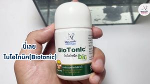 Biotonic ไบโอโทนิค จุลินทรีย์ปรับสภาพน้ำสำหรับใช้รองพื้นก่อนปล่อยนอเเพลียสลงบ่อ ขนาด 1 กิโลกรัม