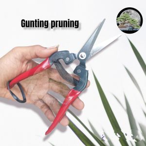 Paket murah  gunting pruning dan gunting dahan