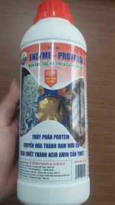 Men Xúc Tác Hỗ Trợ Ủ Cá Phân Bánh Dầu Khử Mùi Hôi ENZYME PROTEASE - Chai 1 Lít