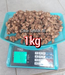 CIKUR Wangi Kencur Tua  1Kg untuk seblak fan lainnya