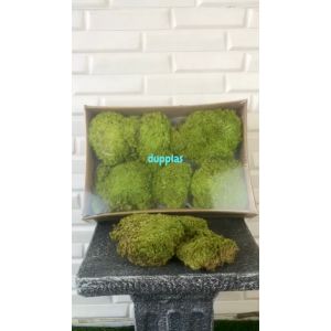 Dekorasi Ruangan Aesthetic dengan Lumut Artificial Box