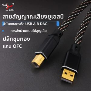 Yyaudio คอมพิวเตอร์ USB OTG สาย USB Type A TO B คุณวิทยาศาสตร์ 6N OFC Type C TO B ระบบถอดรหัสสายออดิโอการ์ดเสียง DAC สำหรับสาย USB