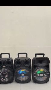 Lexing Portable Speaker 8\" with Wired Microphone: Features & Benefits