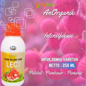 Pupuk Booster Buah Leci / Pupuk Pelebat Buah Leci / Pupuk Untuk Buah Tanaman Leci / Pupuk Buah Super Lebat / Pupuk Pembesar Buah Leci