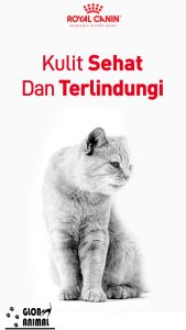 ROYAL CANIN HAIR SKIN CARE 4 KG DRYFOOD CATFOOD Makanan kucing hair & skin 4kg