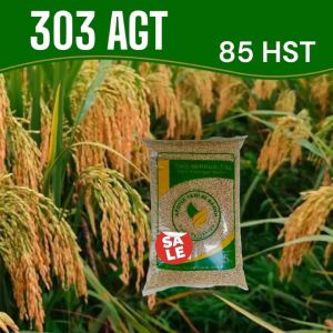 BENIH PADI 303 AGT SUPER UNGGUL BERKUALITAS 1KG