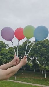 Belon Latex berwarna-warni 5/10/12 Inch Macaroon Colorful Latex Balloon Pastel Balloon Helium Belon hari jadi perkhawinan Party Decoration 马卡龙气球