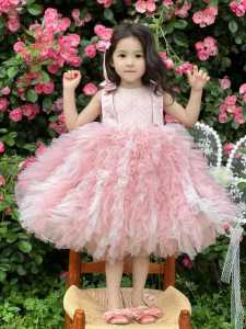 Fairy Princess Summer Dress Tutu