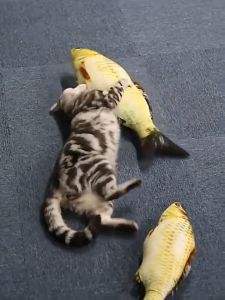 Cat Toy Fish Cat Toy Plush Simulation Fish for Cat Fish Toy
