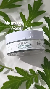 Acnaway Mugwort Water Gel Moisturizer - Untuk Kulit Berjerawat Acne Friendly - Virgo Shoop