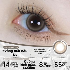 RENYUJI | Mỹ Phẩm Mắt Dùng Một Lần Hộp Nhỏ Du Lịch