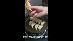 白菜猪肉 饺子批发 水饺批发餐厅直供 200粒 +-4.2kg Handmade cabbage and Pork Dumplings(200pcs)