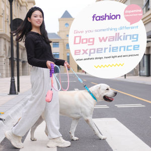 Sentexin Rope Dog Lead 2M Dog Leash Soft Padded Handle for Medium Large Dog