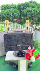 Loa Xách Tay B52 Vip Bass 20 Nút Âm Thanh Mạnh Mẽ Bo Viền Sắt 4 Cạnh Hỗ Trợ Bluetooth USB Thẻ Nhớ AUX – Công Suất 200W Kèm Micro Thiết Kế Chắc Chắn Nhỏ Gọn Dễ Mang Theo Du Lịch