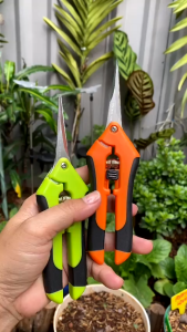 Kéo cắt tỉa vườn tiết kiệm nhân công - Kéo đầu thẳng đa chức năng cho hoa và cành có tay cầm chống trượt