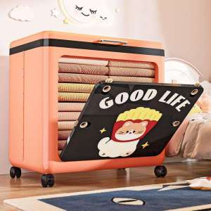 Large Capacity Flip-top Access Toy and Clothing Storage Box