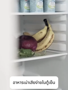 🏆รุ่นอัพเกรด รับเปลี่ยนใหม่ภายใน 5 ปี🏆เครื่องซีลสูญญากาศ การซีลใน1วินาที แรงดูดที่แรงกว่า แบบเปียกและแห้ง เป่า/ดูด/ชาร์จ/ปั๊ม คัตเตอร์ในตัว/ตัดถุงได แถมฟรีถุง20ใบ เครื่องซีล เครื่องซีลถุง เครื่องสูญญากาศ Vacuum Sealer